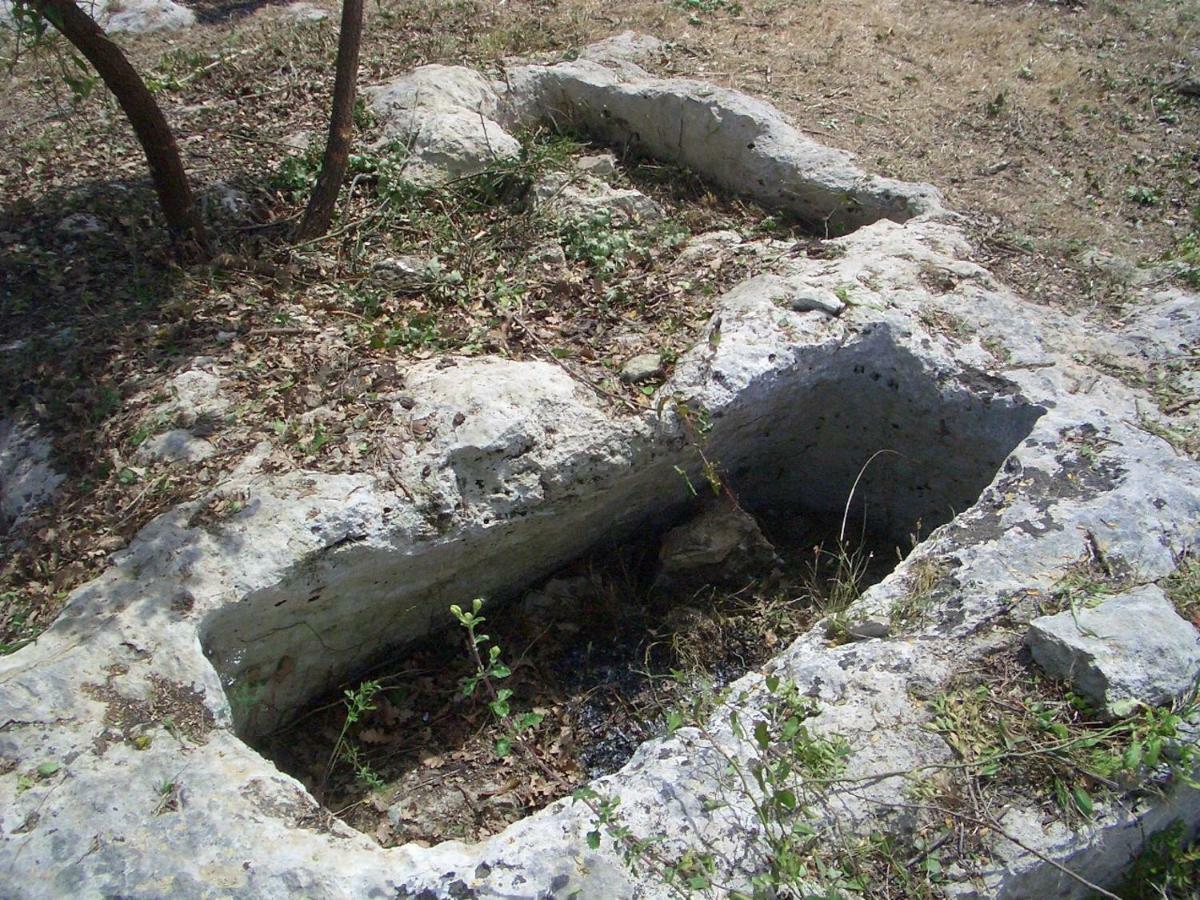 הוילה Casa della Contessa Mundus Terrae מראה חיצוני תמונה